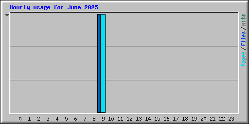 Hourly usage for June 2025